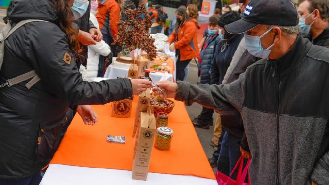 Chiguayante.-Fiesta-de-la-Castana-678x381.jpg