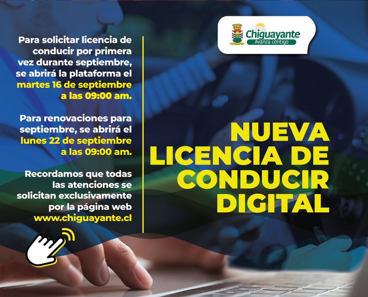 000000111licencia.jpg